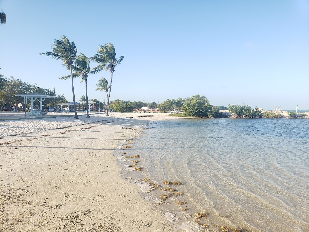 Harry Harris Beach and Park