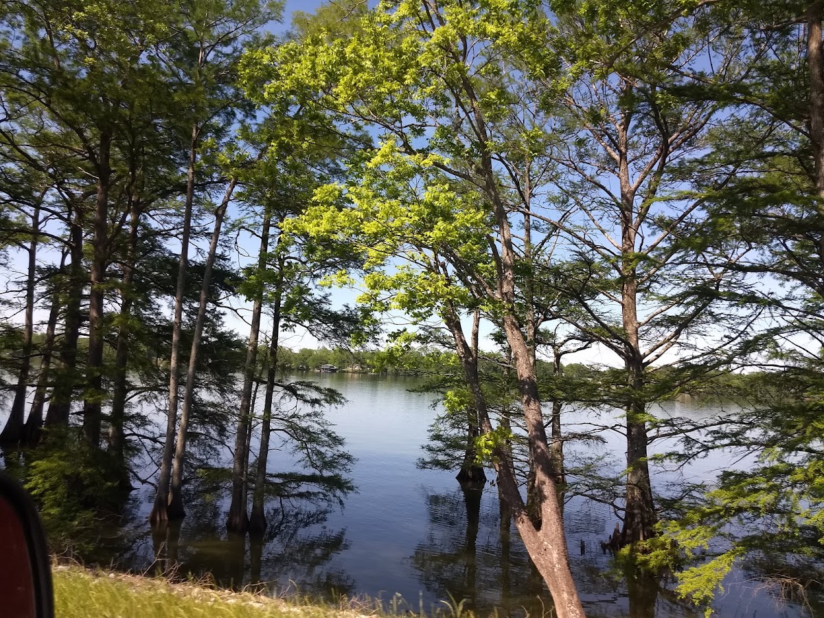 Lakeview Inn & Suites