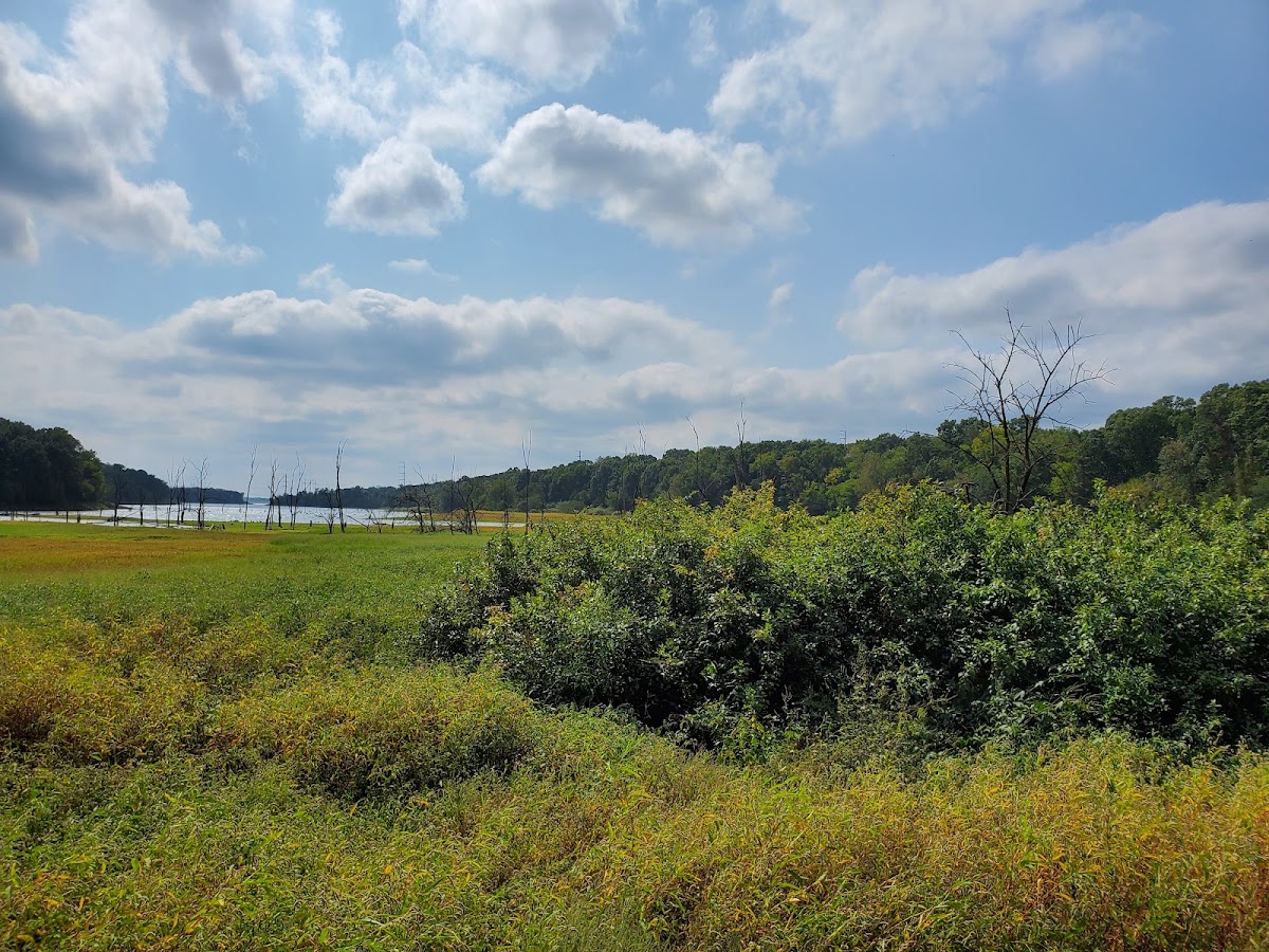 Eagle Watch Nature Trail
