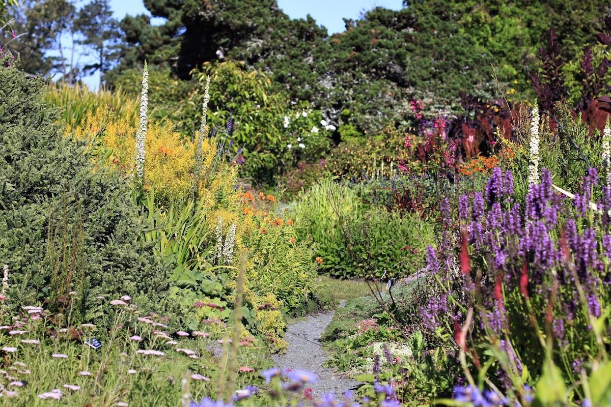 Mendocino Coast Botanical Gardens