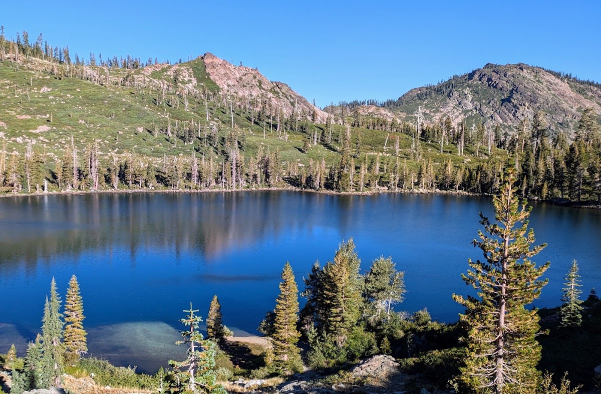 Plumas National Forest
