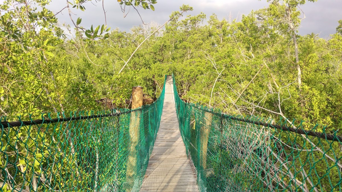 Cocodrilario La Manzanilla
