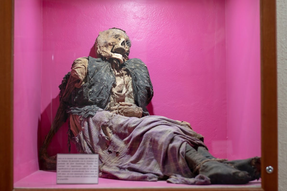 Museo de las Animas