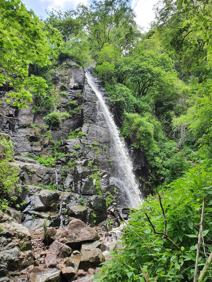 El Tepalo