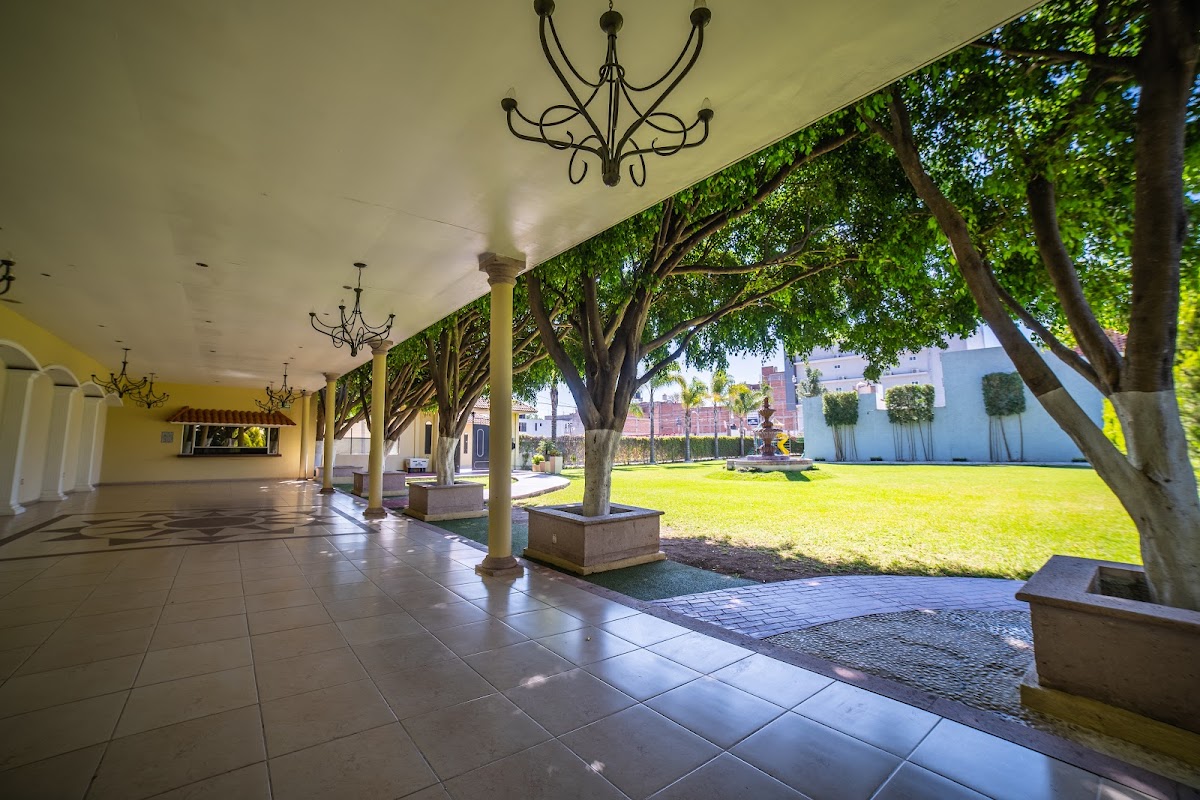 Mirage Garden