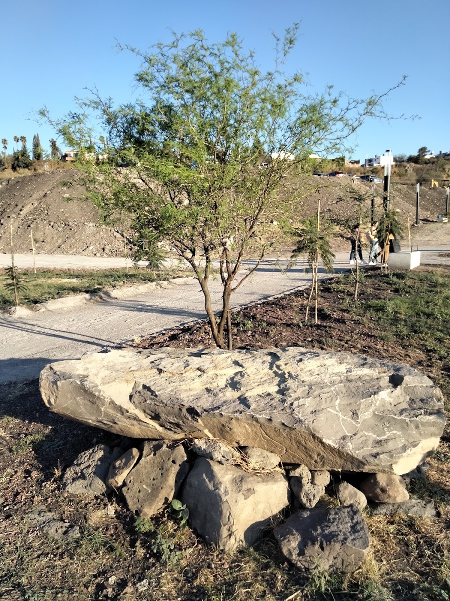 metropolitano Jose Maria Cabadas Park
