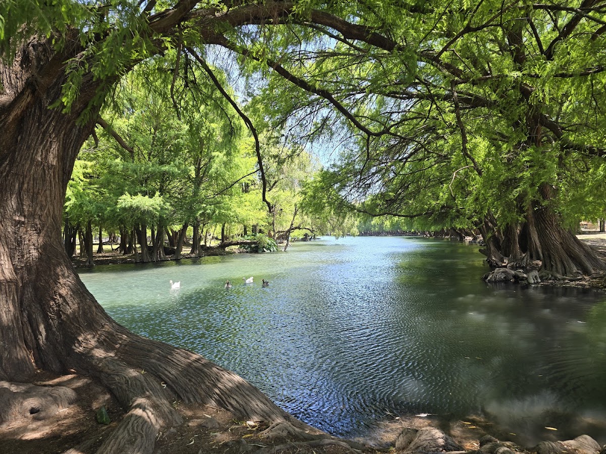 Lago de Camécuaro National Park