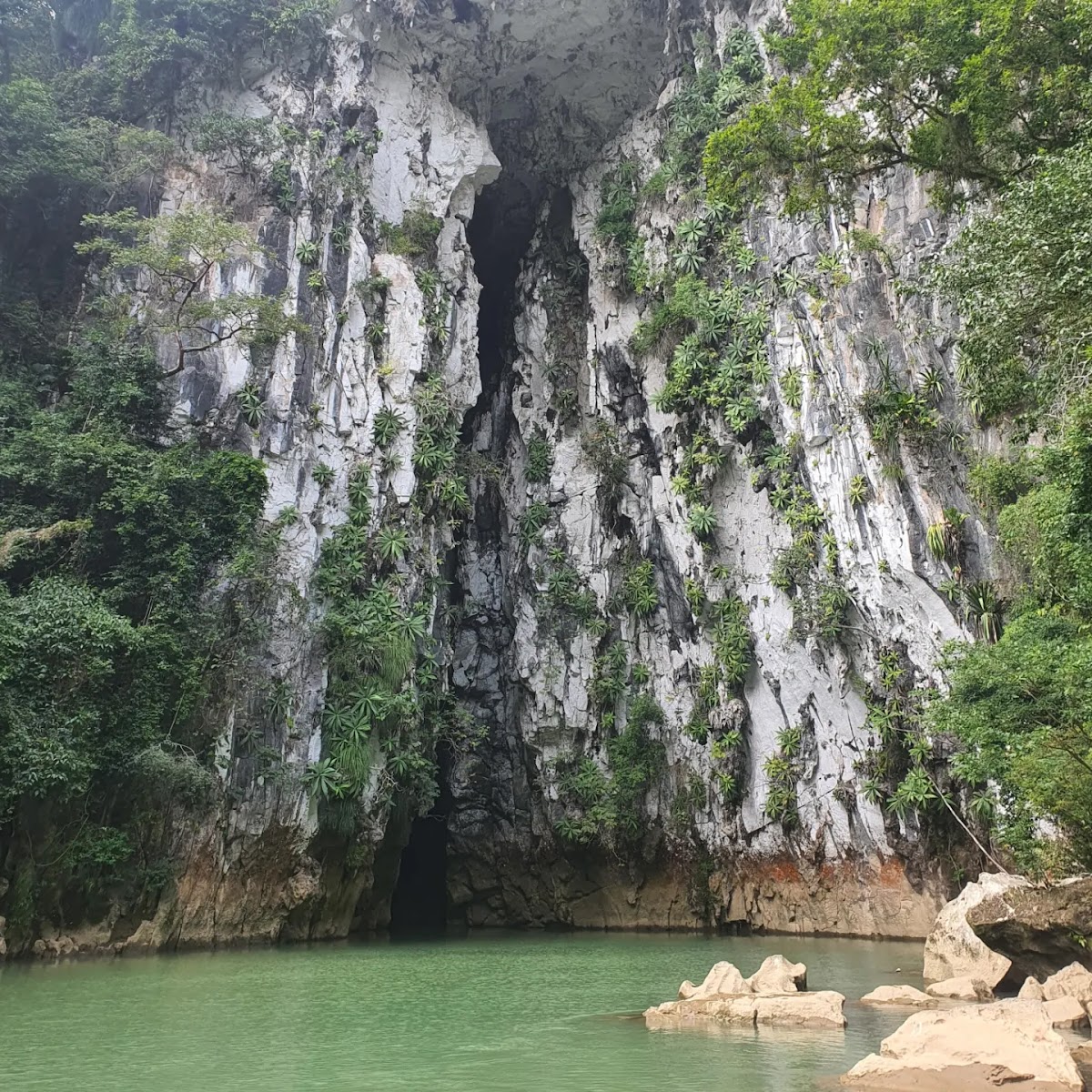Nacimiento de Río Tonto