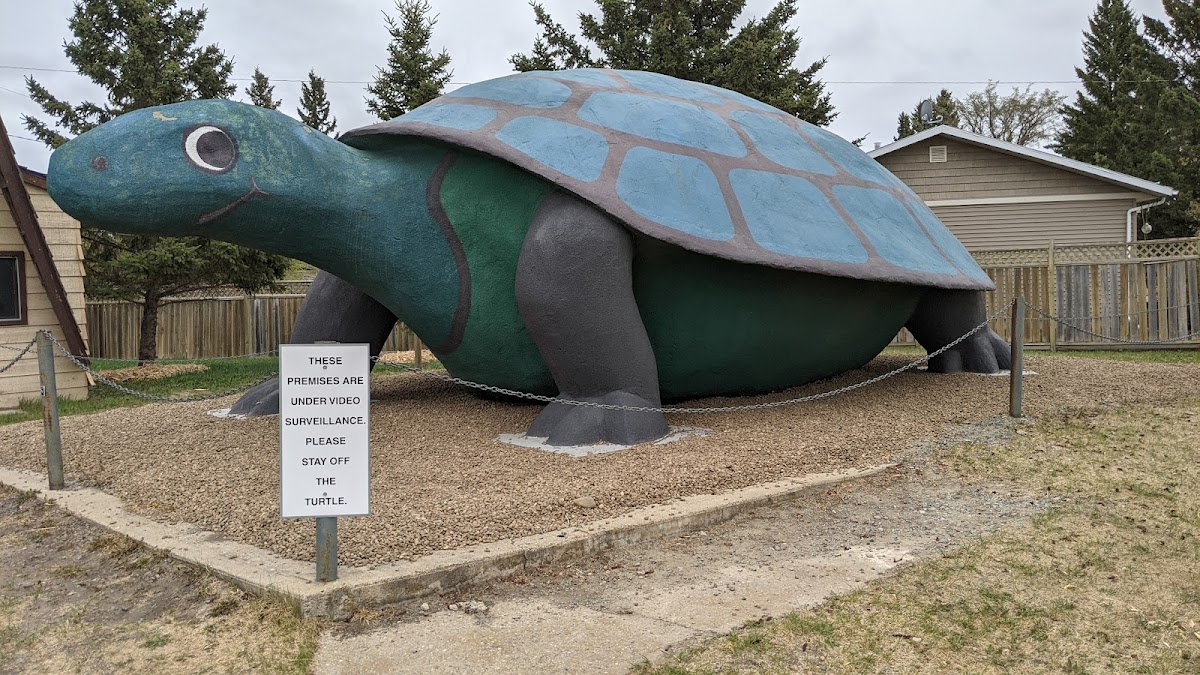 Ernie the Turtle
