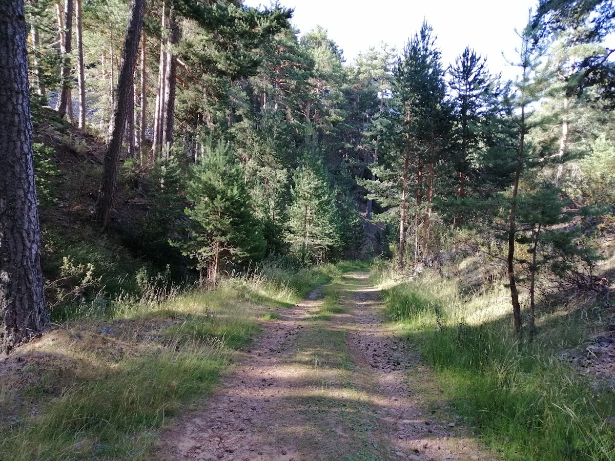 Sierra de Albarracín