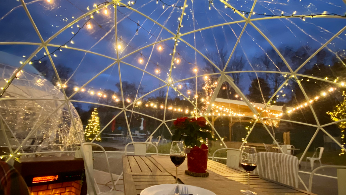 Bella Terra Vineyards
