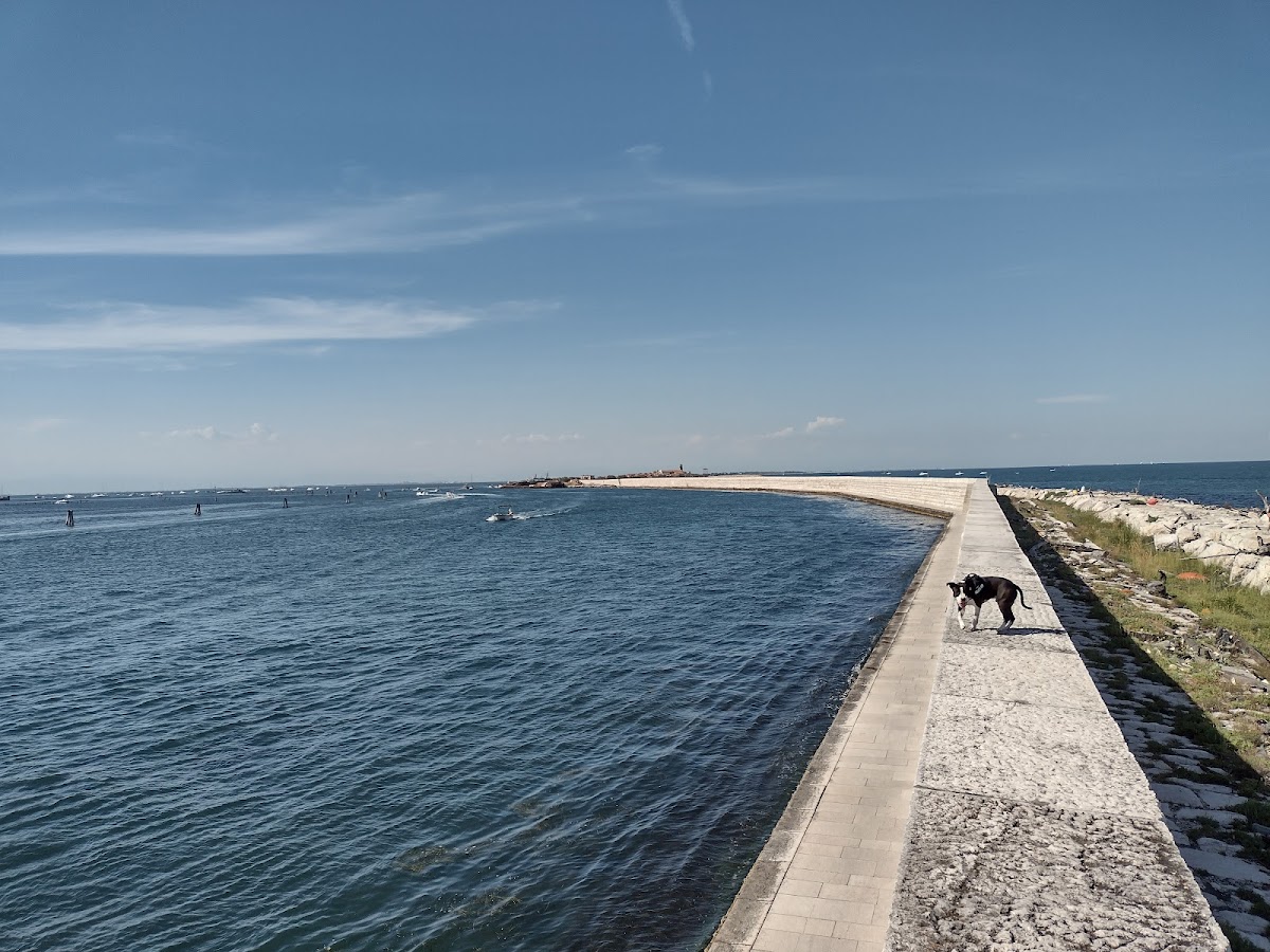 Pellestrina
