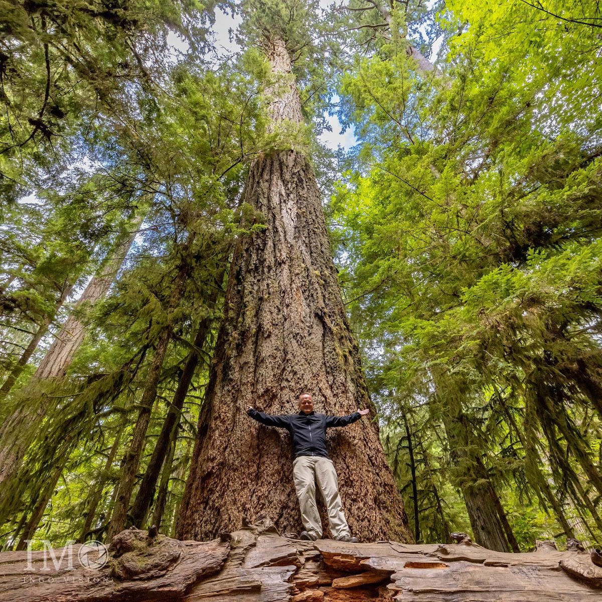 MacMillan Provincial Park