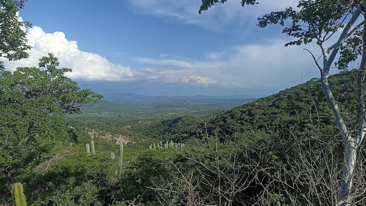 Puerto del Gato