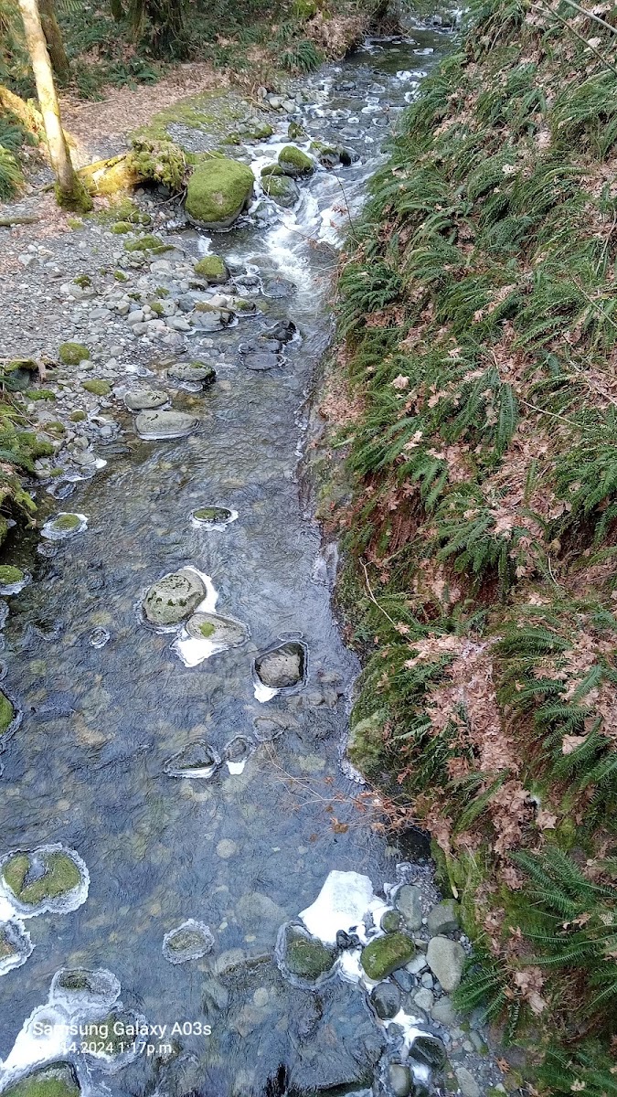 Alberni Valley