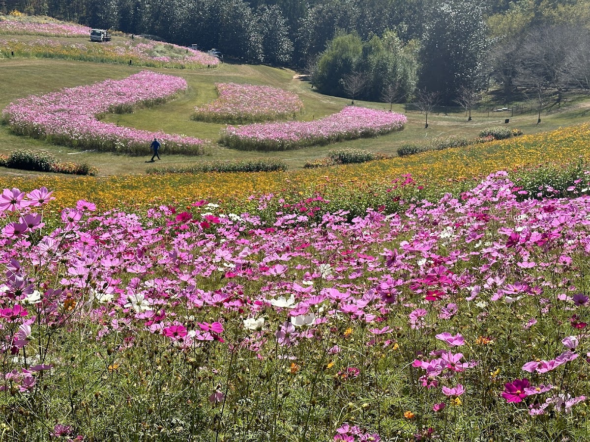 Gibbs Gardens