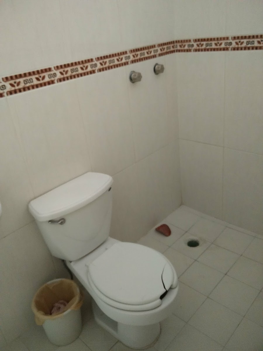 Room 6
