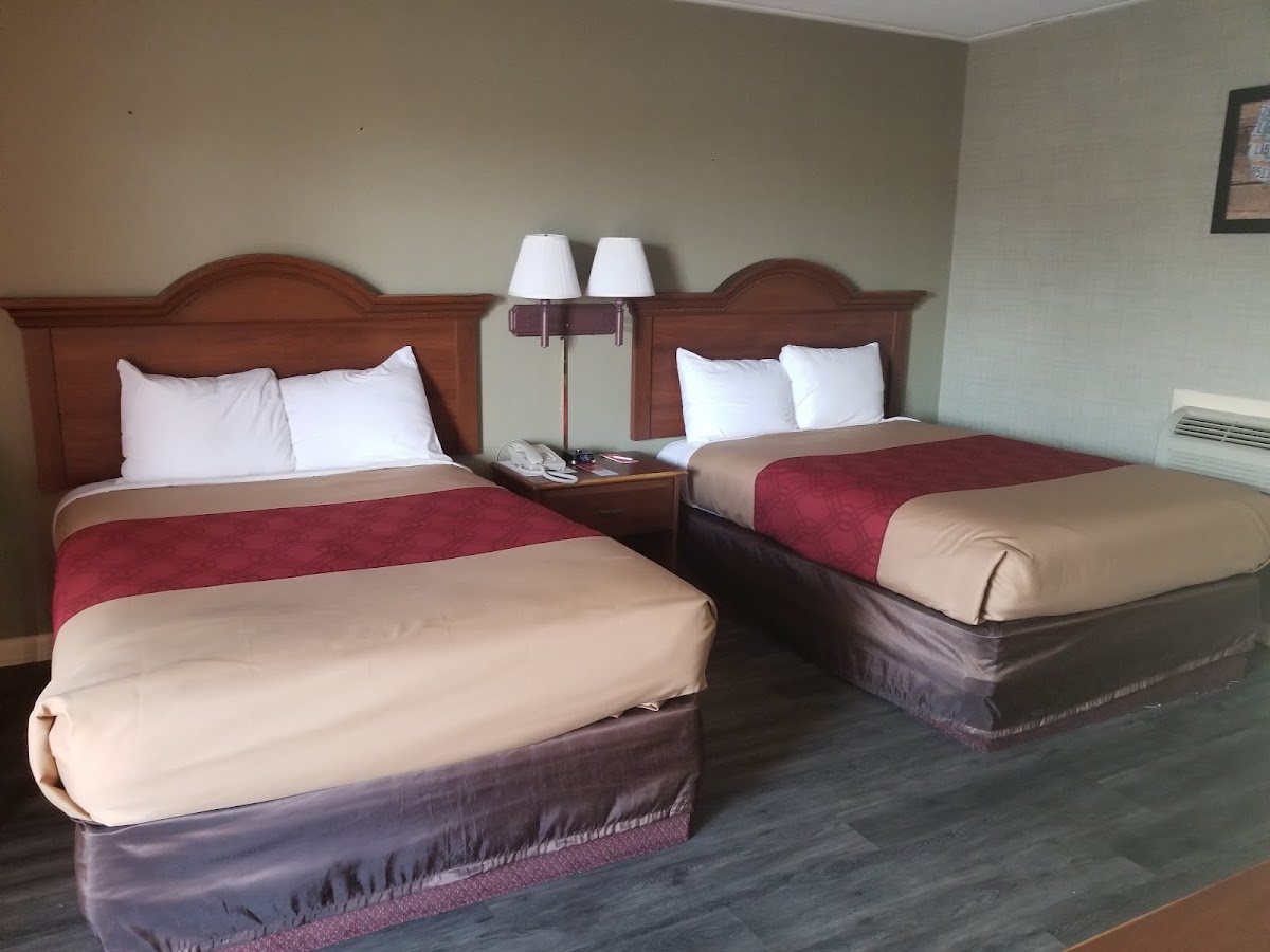 Room 8