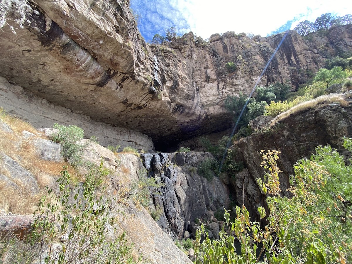 Cueva de Longa