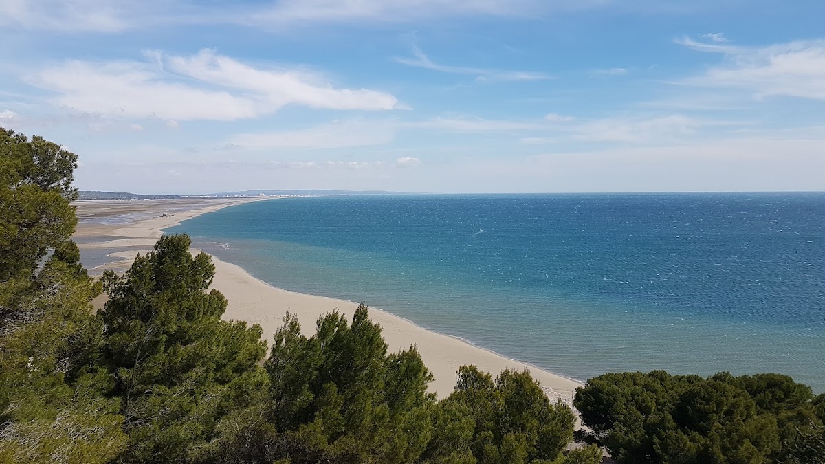 La Franqui