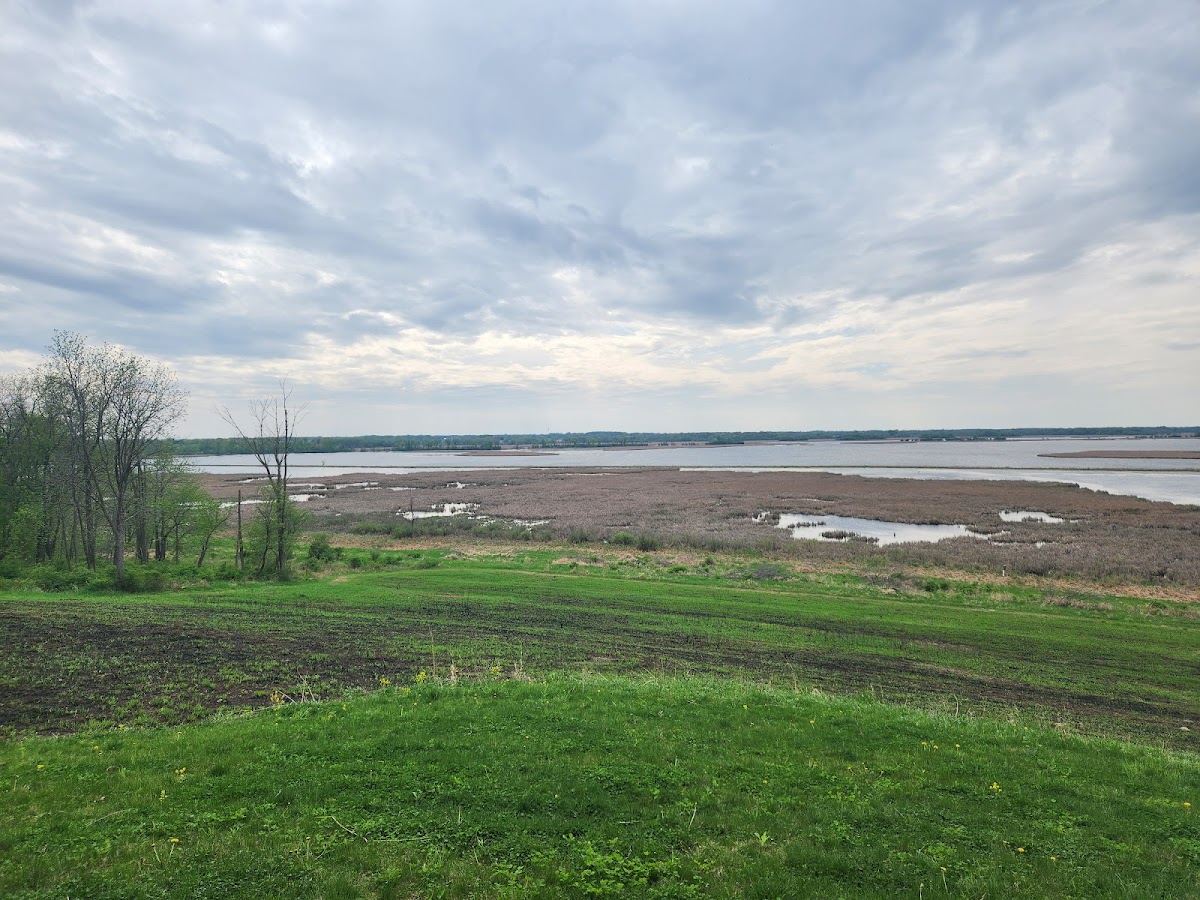 Horicon Marsh