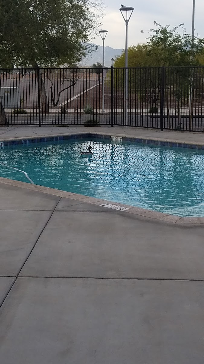 My Place Hotel-Avondale, AZ