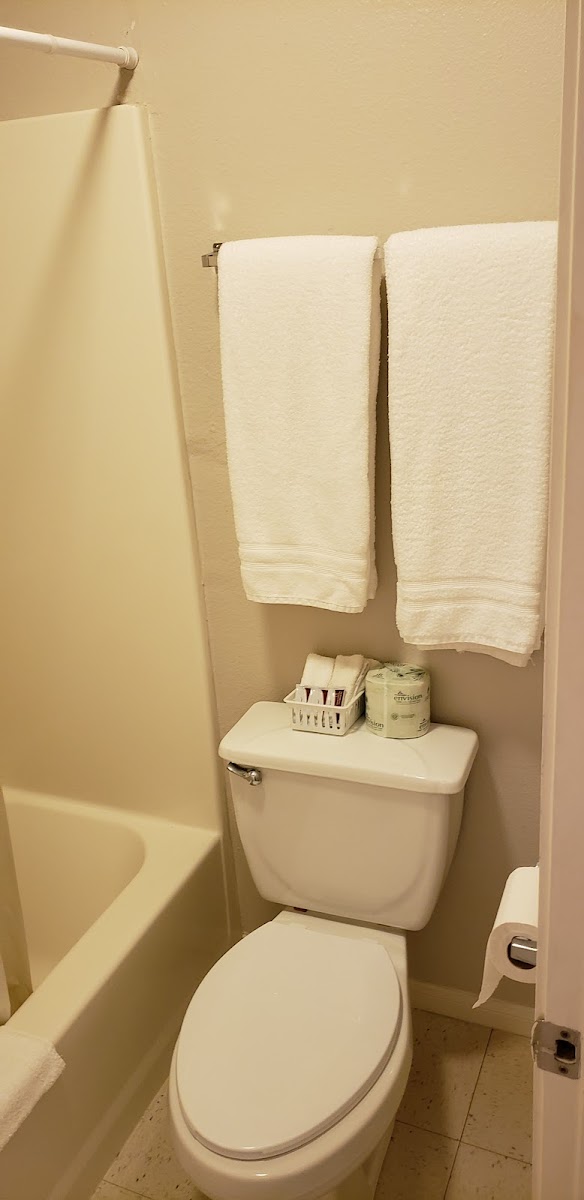 Room 5