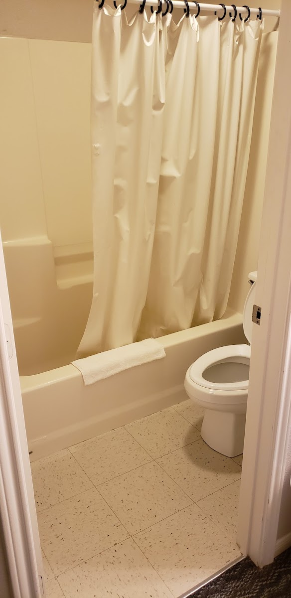 Room 6