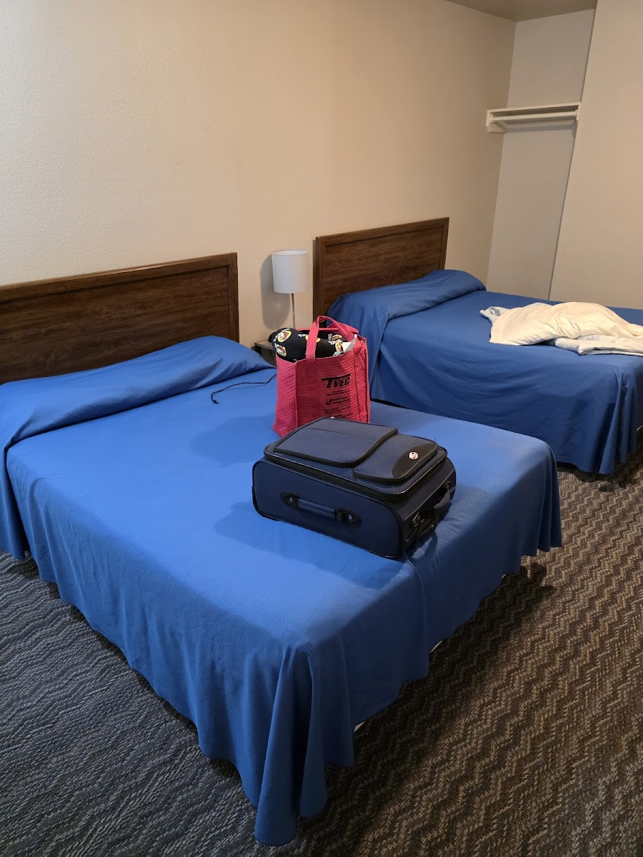 Room 8