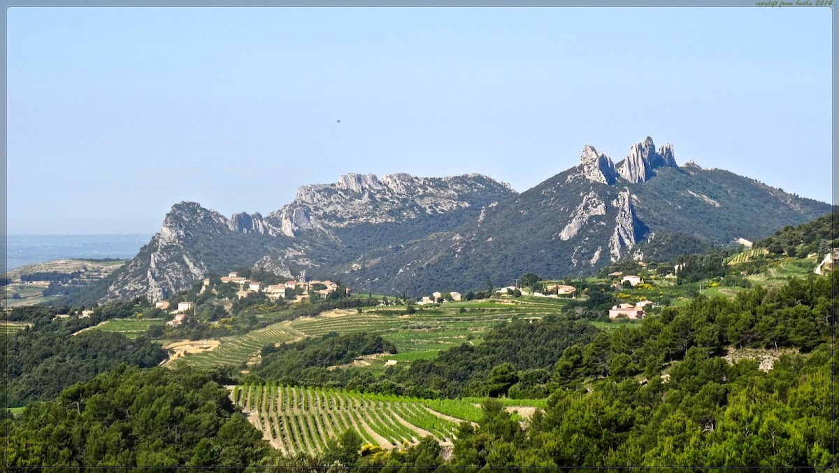 Dentelles de Montmirail