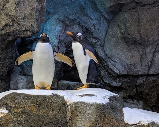 Wilder Institute/Calgary Zoo