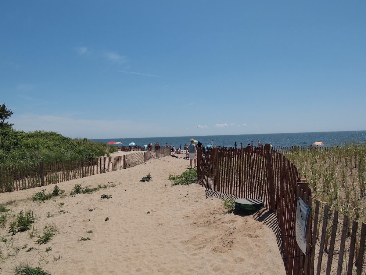 Hammonasset Beach State Park