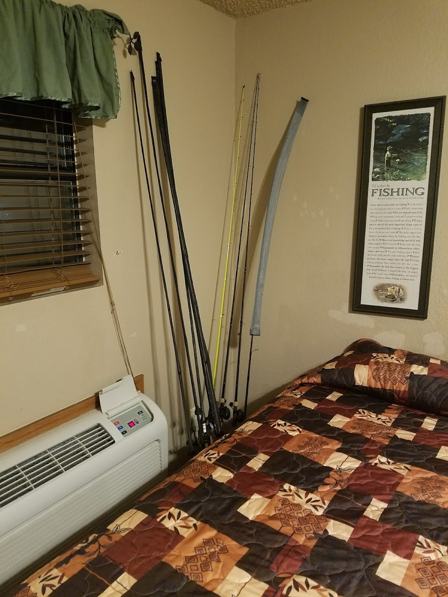 Room 4