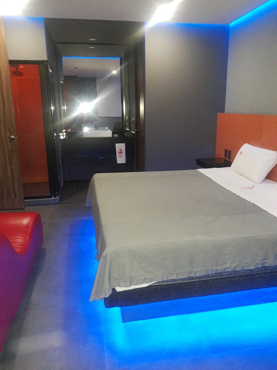 Room 6