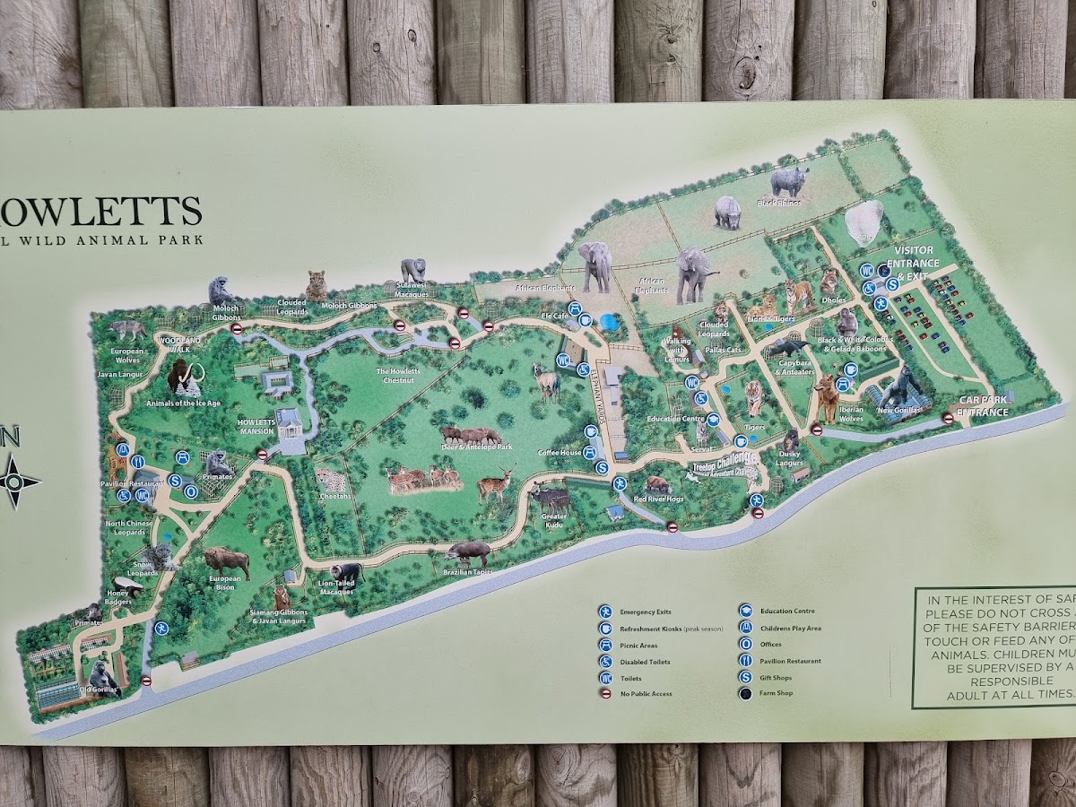 Howletts Wild Animal Park