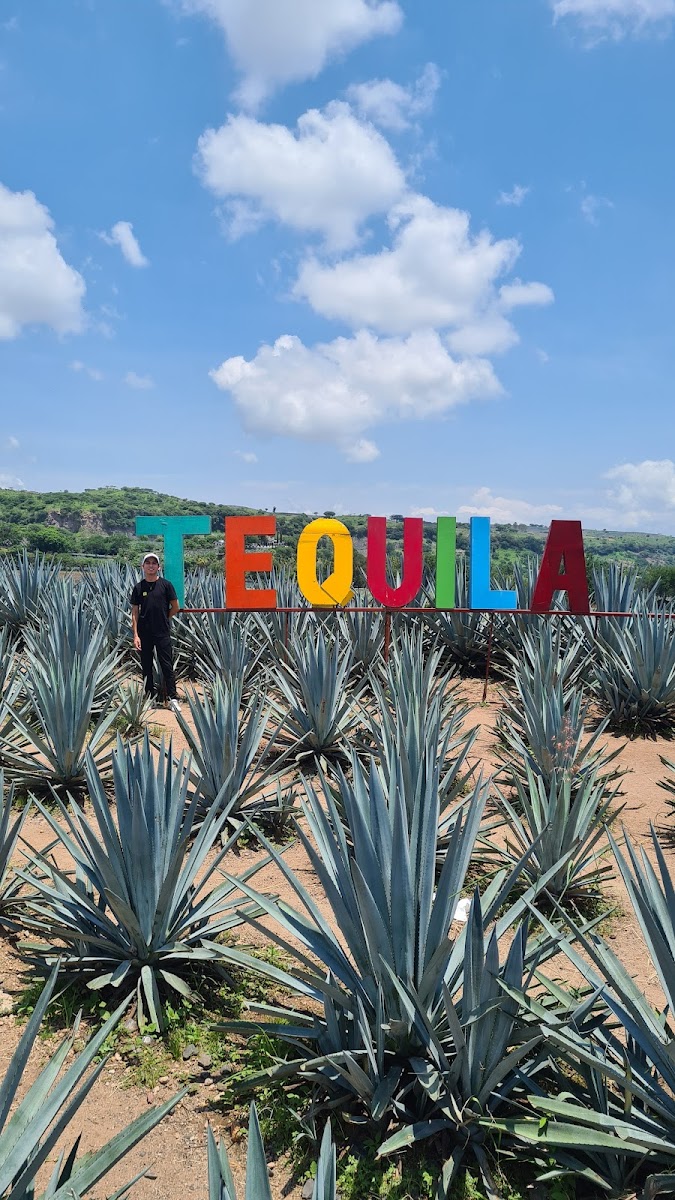Tequila, Jalisco - Pueblo Mágico
