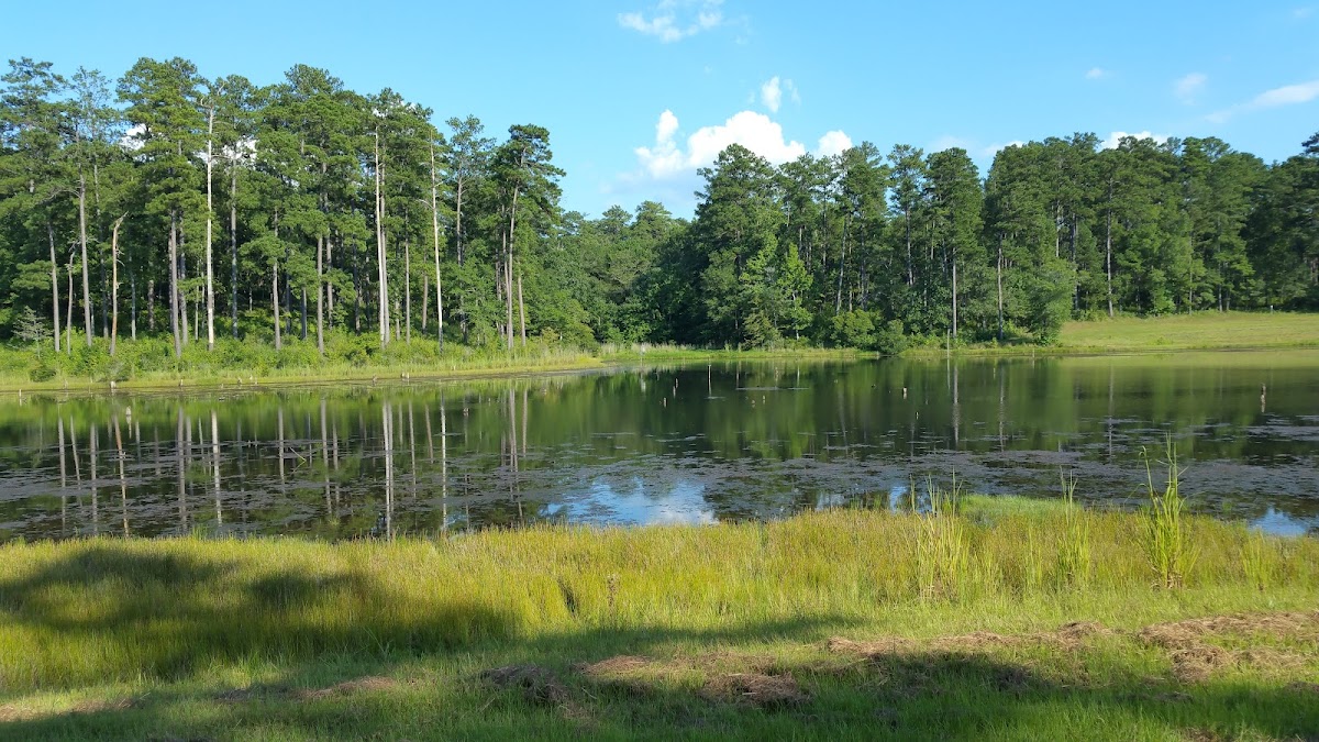 Piedmont National Wildlife Refuge