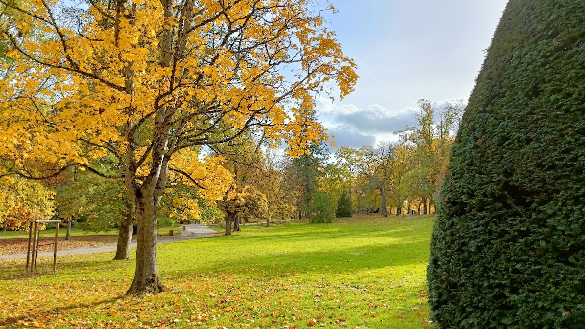 Napoleon III Park