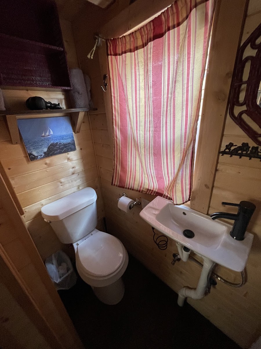 Room 6