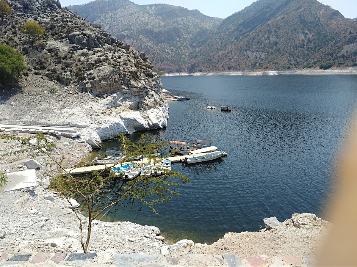 Presa Zimapán