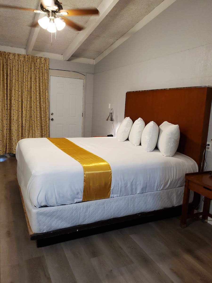 Room 6