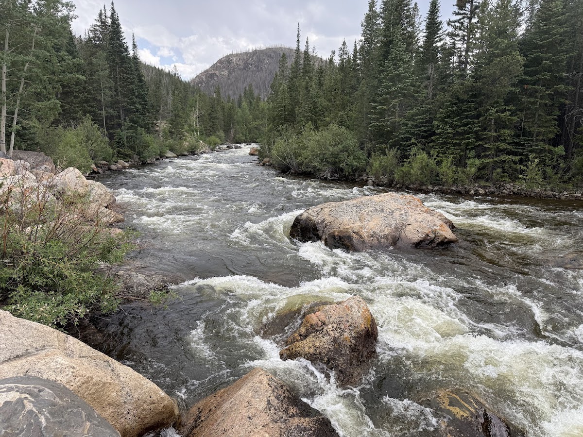 Arapaho and Roosevelt National Forests and Pawnee National Grassland