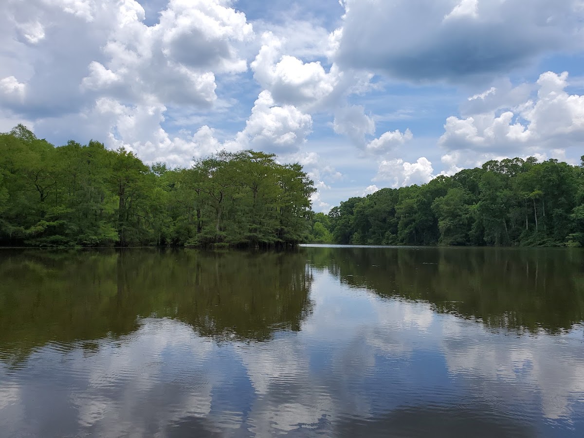 Tuckahoe Wildlife Management Area