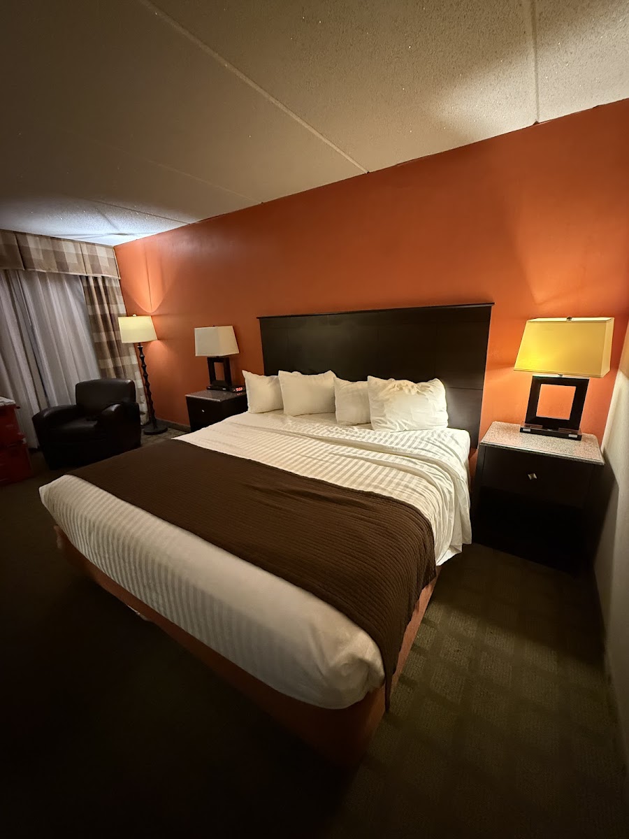 Room 5
