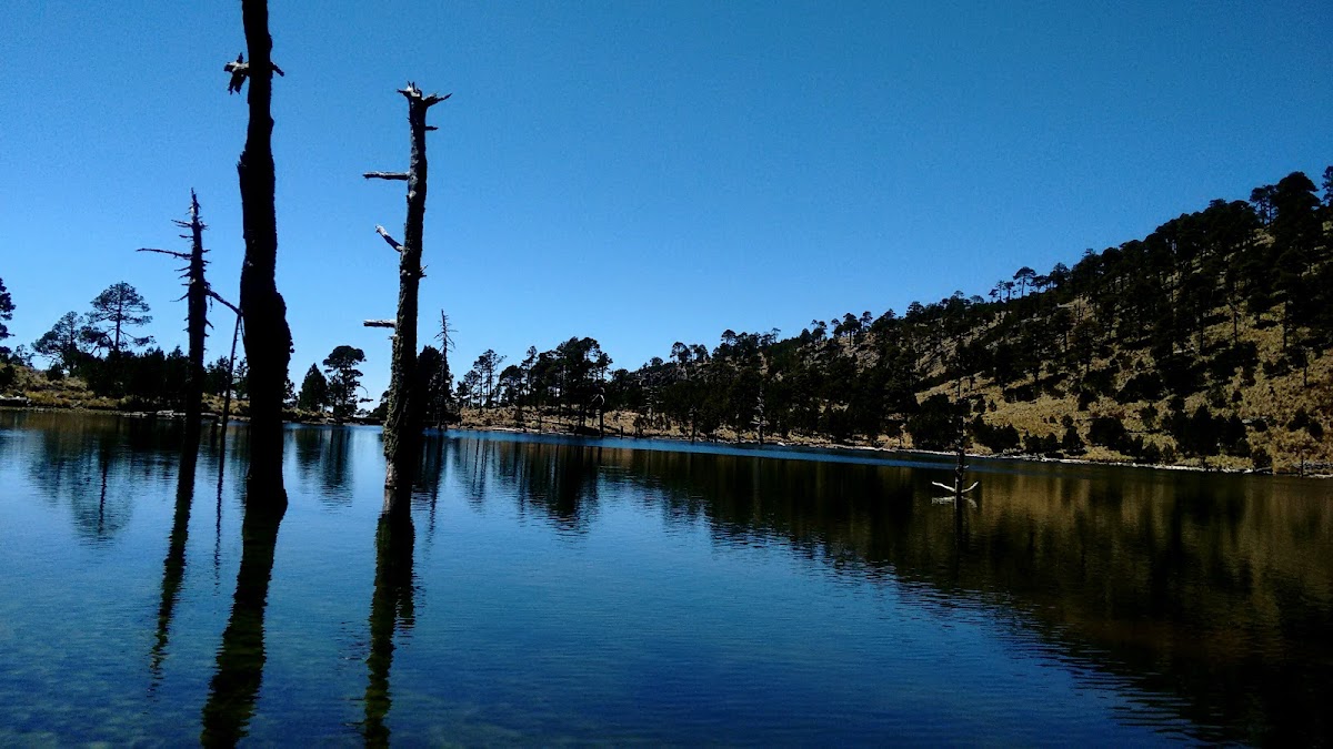 Hotel Posada 'La Casa De Los Abuelos'