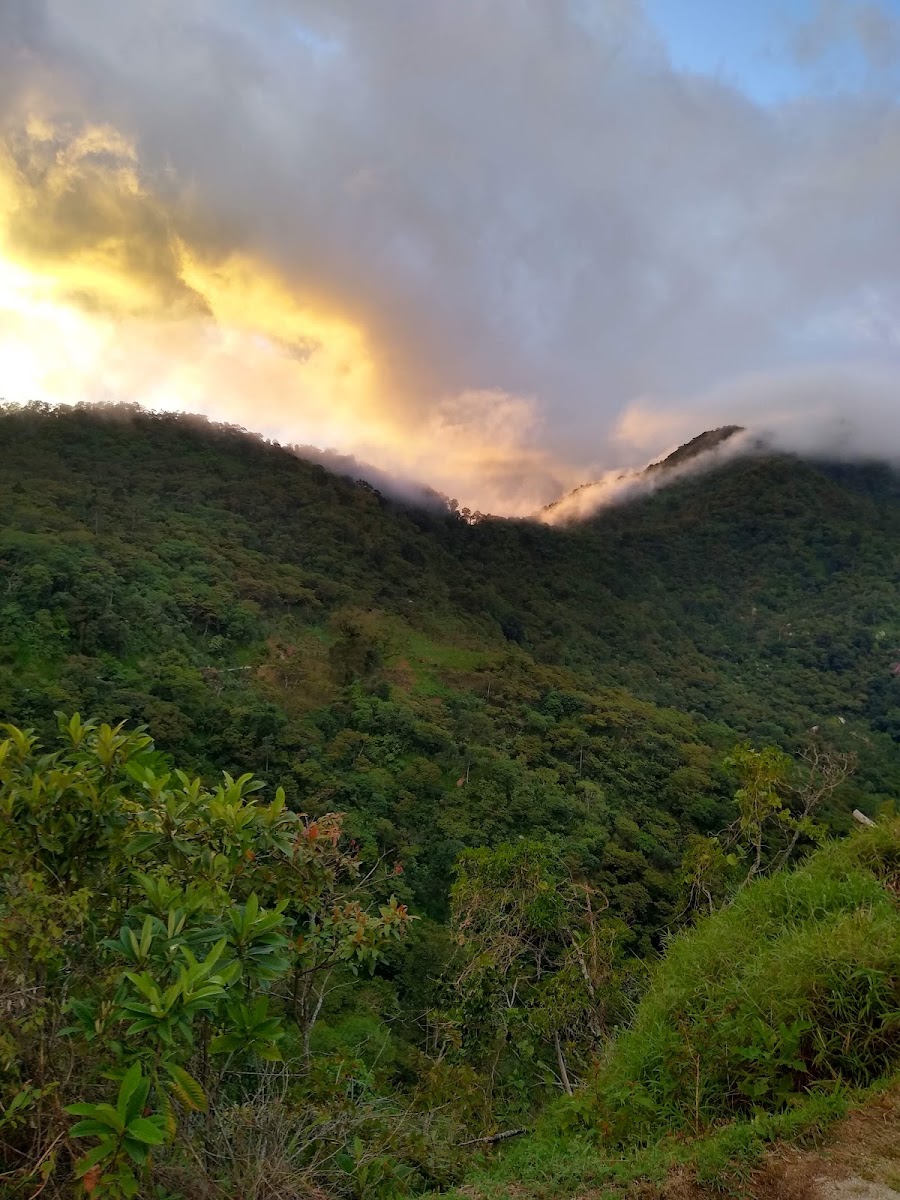 MIRADOR PICO DE LORO