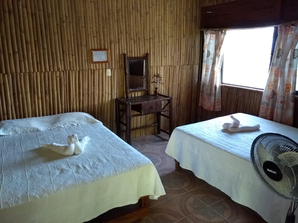 Room 1