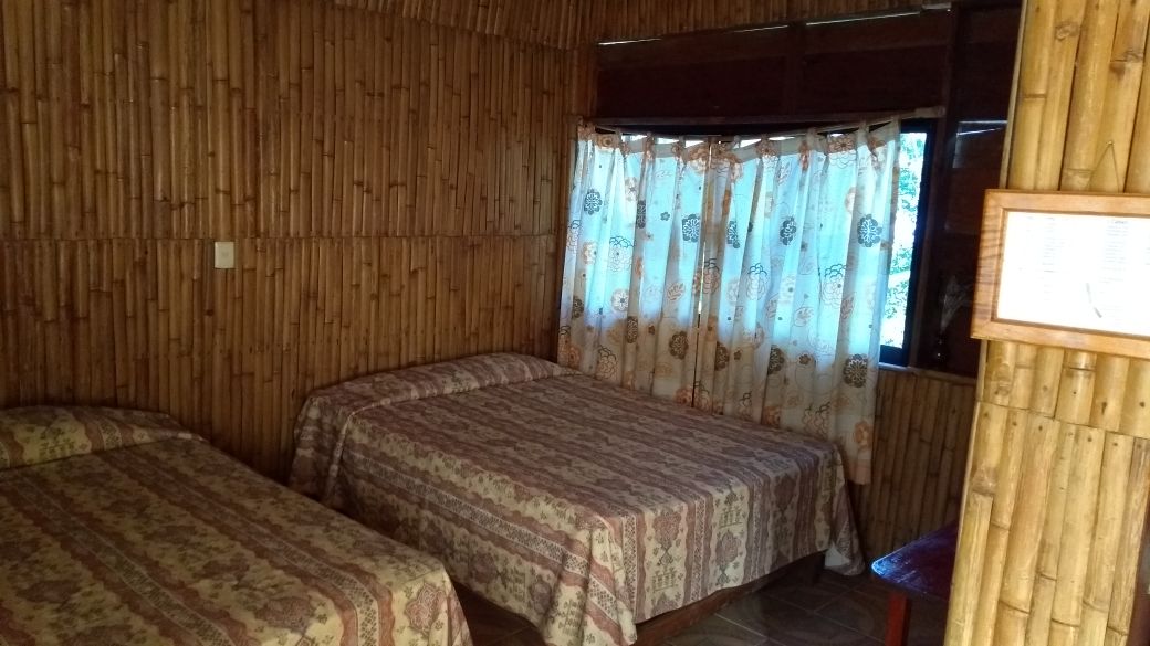 Room 3