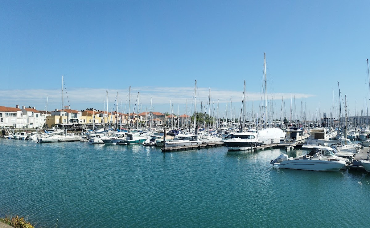 Le pélican