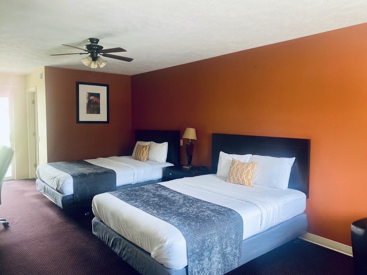 Room 4
